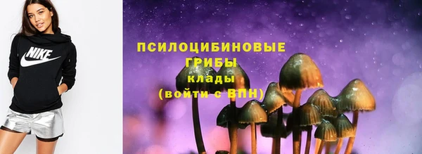 PSILOCYBIN Балабаново